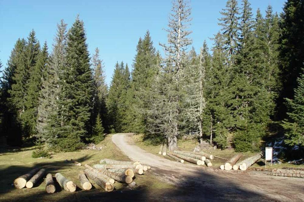 Iz arhive (ilustracija)