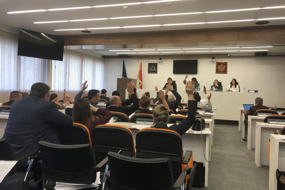 Sa sjednice, Foto: Vuk Lajović