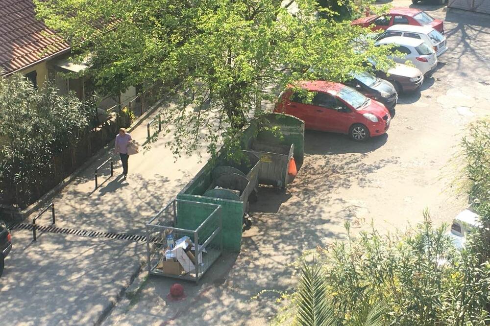 Kontejneri u Novom, Foto: Slavica Kosić