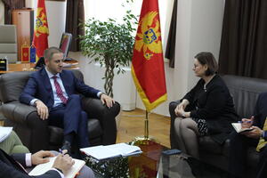 Šehović - Rajnke: Crna Gora i SAD nastavljaju sa razvojom...