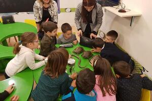 U utorak edukativna radionica "Insekti i pauci"