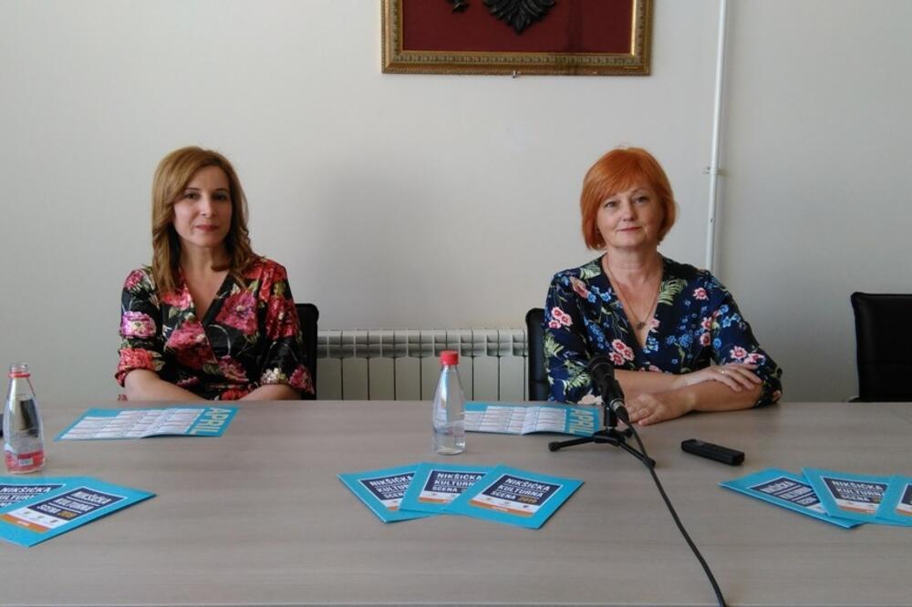 Mnoštvo sadržaja: Sa konferencije za medije u Nikšiću, Foto: Privatna arhiva