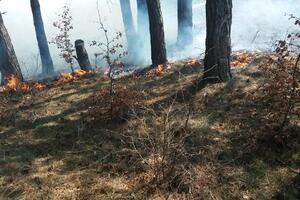 I danas bijesne požari u opštini Kolašin: Stanje haotično,...