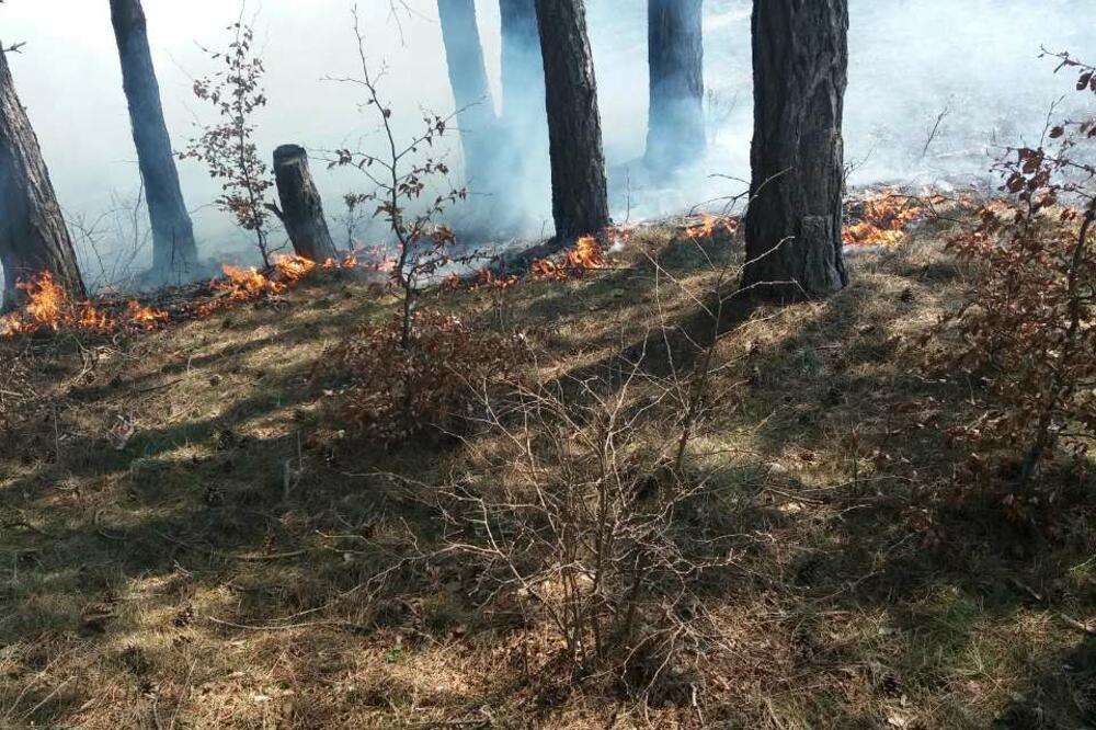 Požar Kolašin, Foto: Služba zaštite