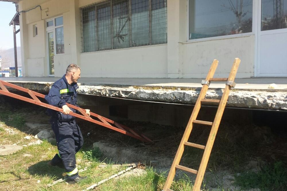 Sa jučerašnje akcije, Foto: Privatna arhiva