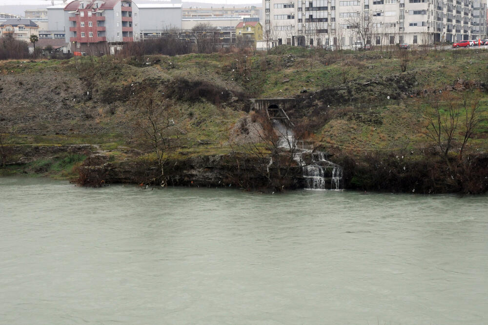 Kolektor, Foto: Luka Zeković