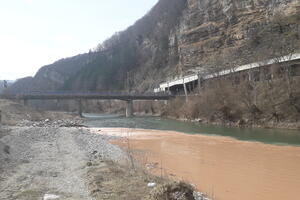 Tari prijeti ekološka katastrofa?