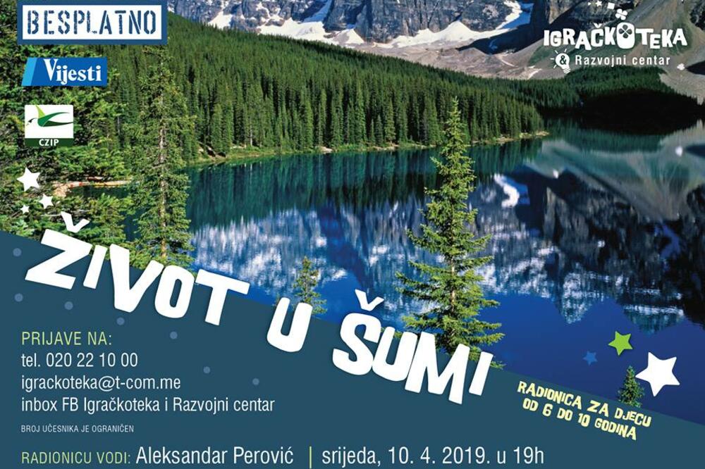 Život u šumi, Foto: Udruženje Roditelji