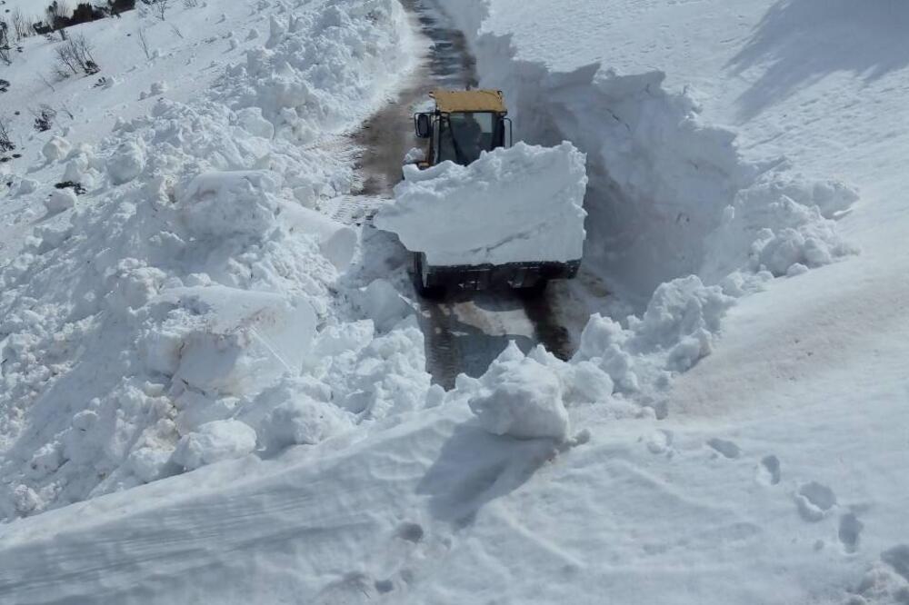 Detalj sa akcije, Foto: Obrad Pješivac