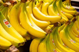 Na stotine kilograma kokaina pronađeno među bananama u Njemačkoj