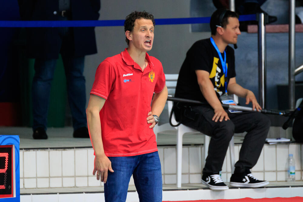 Vlado Gojkovic, Foto: Madar Davidinfo@madardavid.hu+