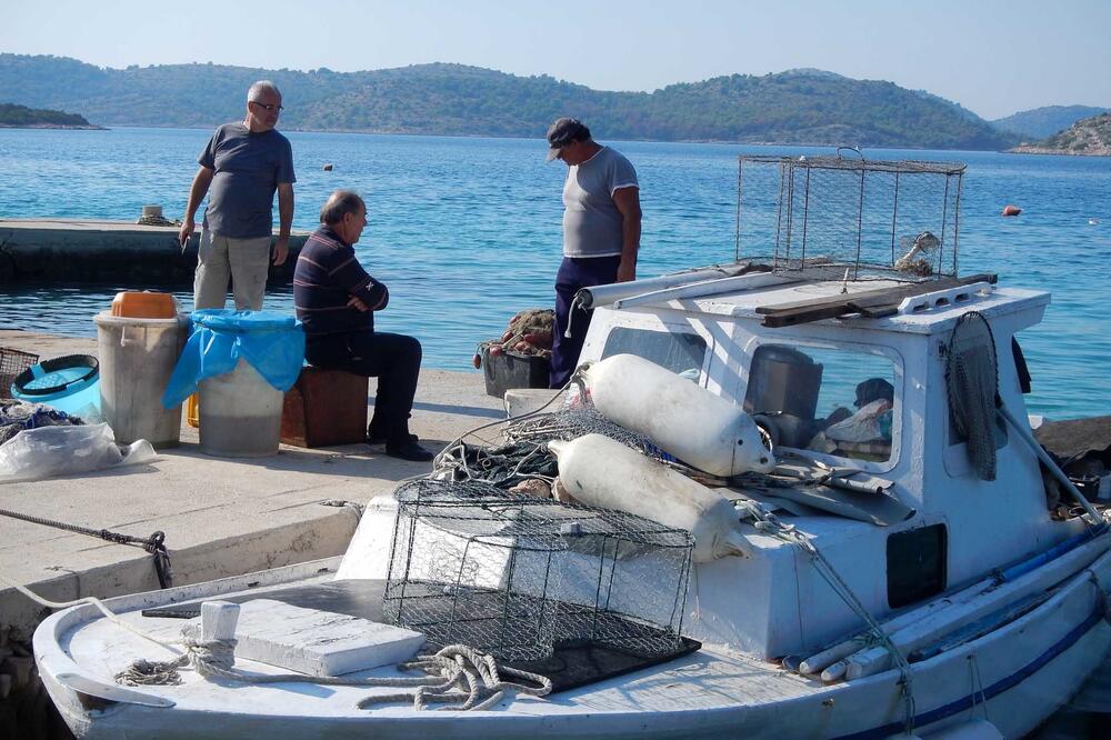 Po savjete kod kolega, Foto: Dušan Varda