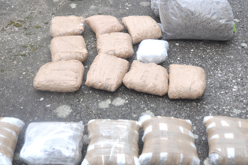 zaplijenjena marihuana, Foto: Uprava policije