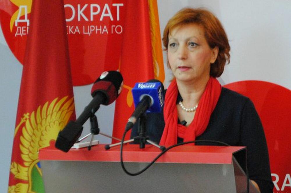 Popović, Foto: Demokratska Crna Gora