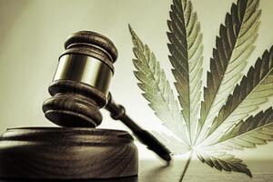 Zucalu će suditi zbog “trave”