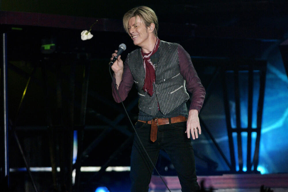 Bouvi na sceni, Foto: Shutterstock