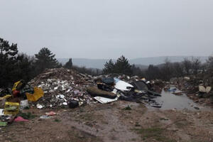 Mandić: Podaci su netačni