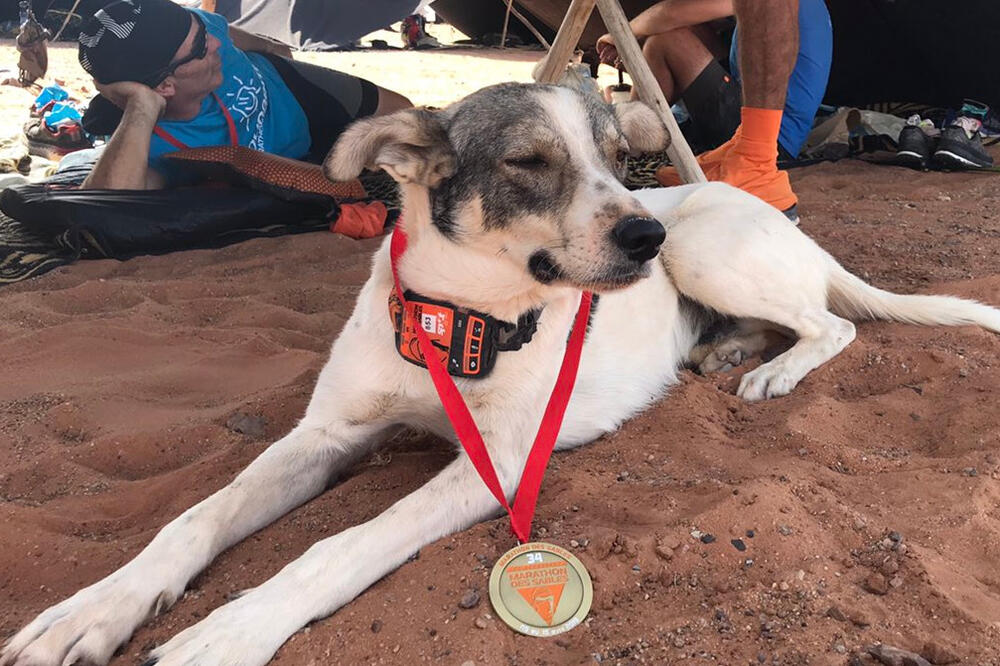 Kaktus sa zasluženom medaljom, Foto: Twitter.com/marathonDsables
