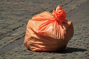 Pokrenuli peticiju za odbacivanje plastičnih kesa: "Da se Crna...