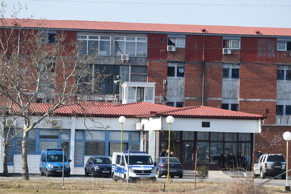 ZIKS (ilustracija), Foto: Boris Pejović