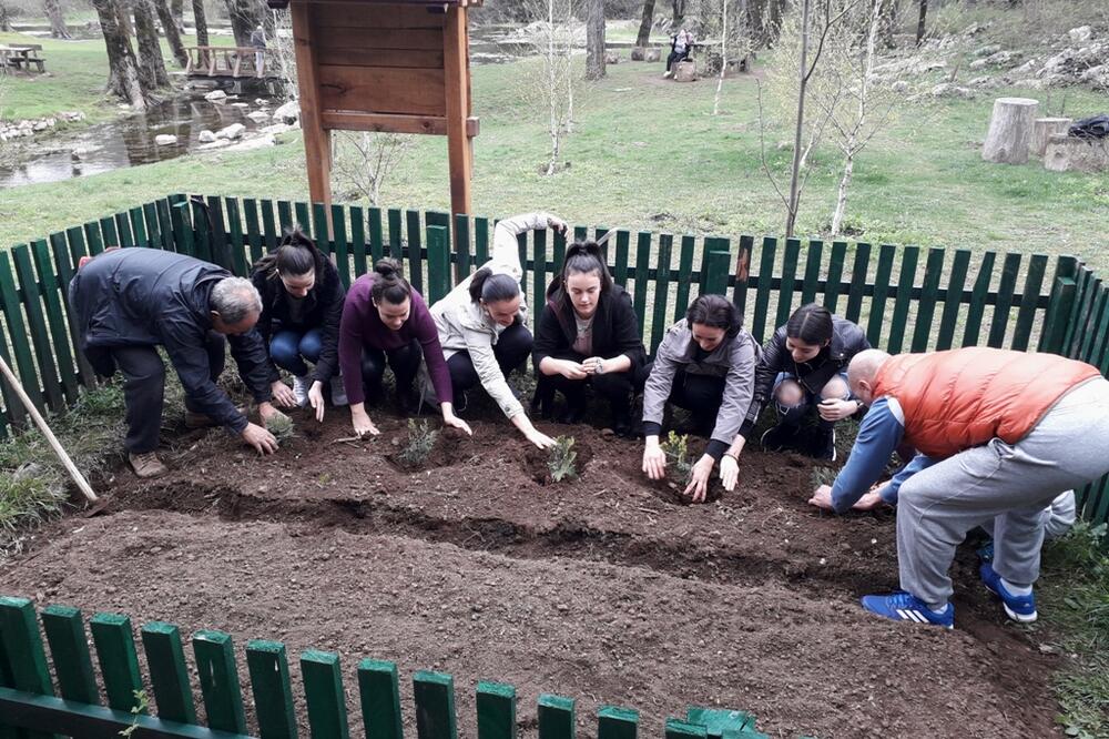 Radno u eko bašti, Foto: DMEN