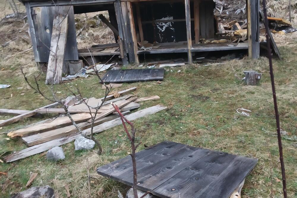 Oštećena košnica, Foto: Obrad Pješivac
