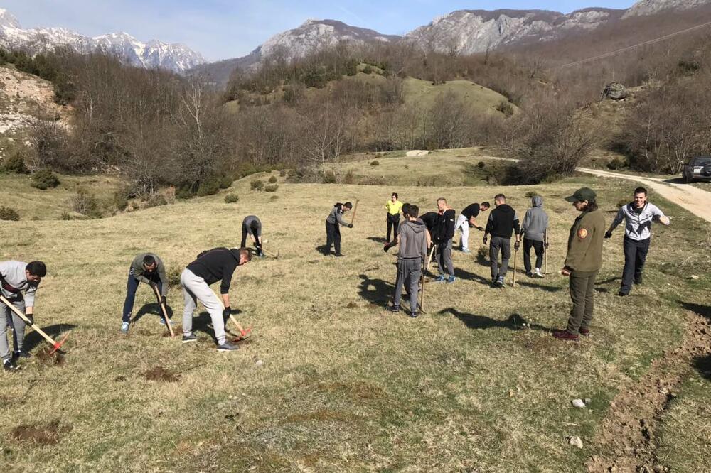 Sa akcije na lokalitetu Bakovići, Foto: NVO Natura