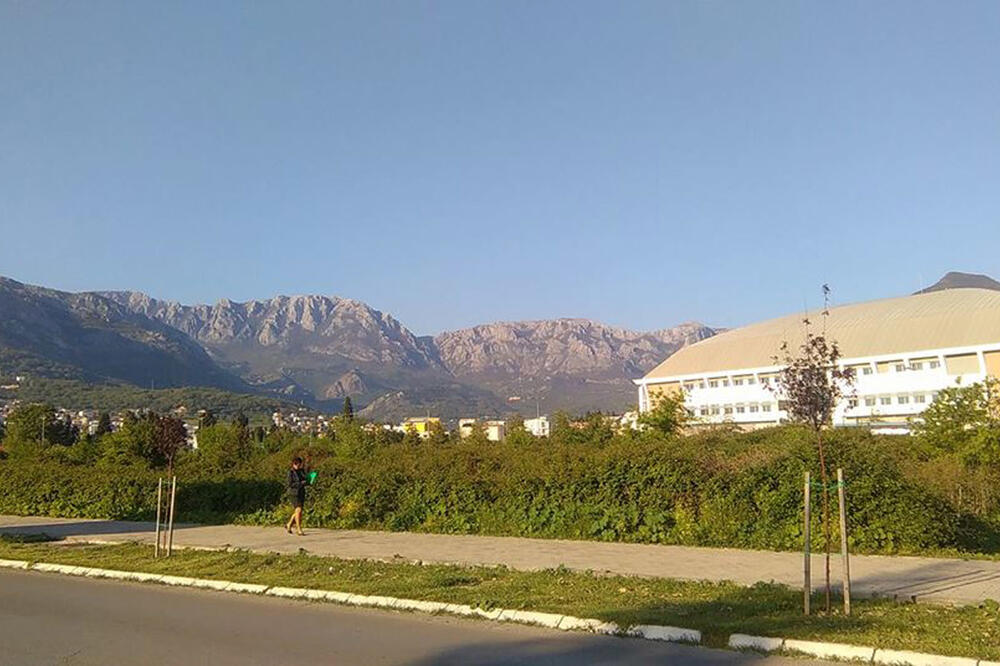 Atraktivna parcela na Topolici, Foto: Radomir Petrić