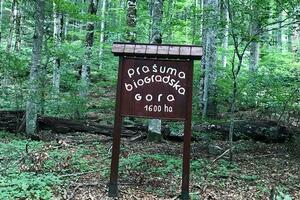 NP Biogradska gora: Spašeno dvoje izgubljenih turista iz Izraela