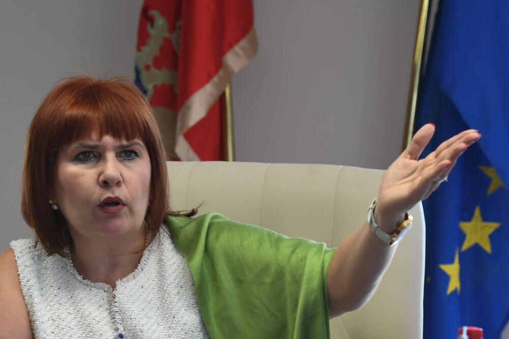 Državni organi ne snose posljedice za kršenje Konvencije:Pavličić, Foto: Savo Prelević