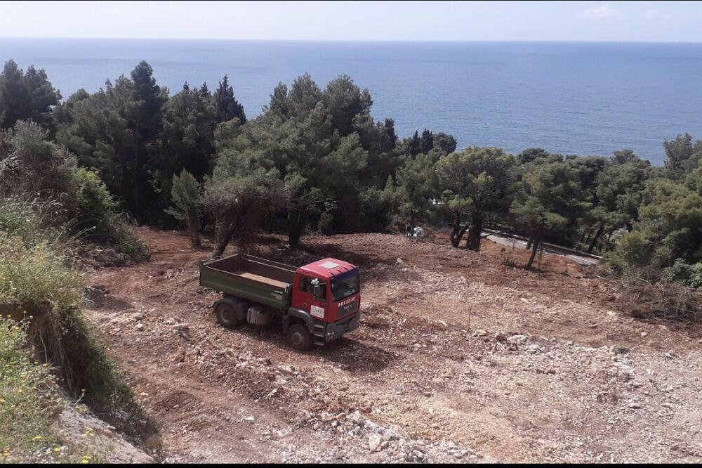 Devastacija Borove šume, Foto: URA Ulcinj
