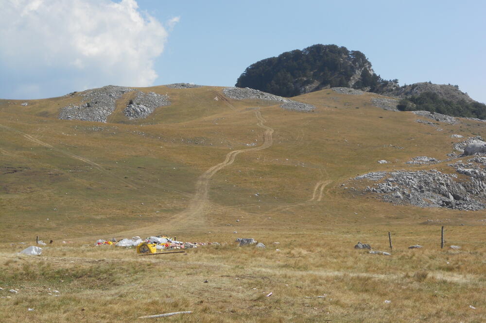 Sinjajevina, Foto: Igor Stojović