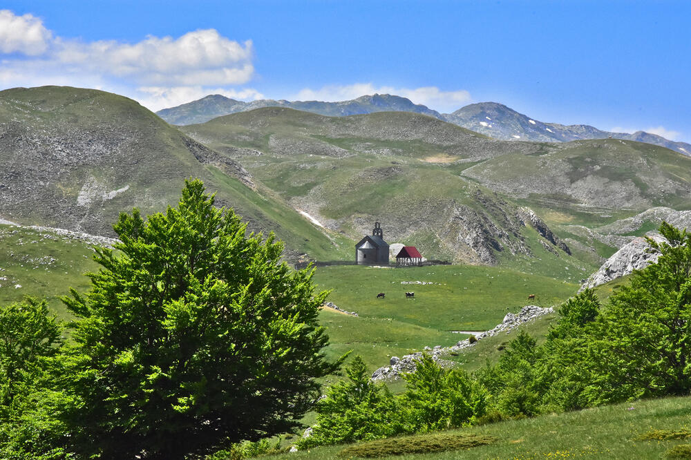 Sinjajevina, Foto: Igor Stojović, Igor Stojović