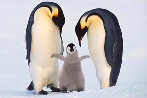 Četiri događaja koja nam predstoje ove nedjelje