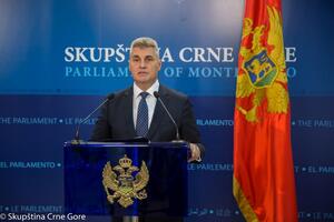 Brajović: Crna Gora poznata i priznata kao faktor stabilnosti u...