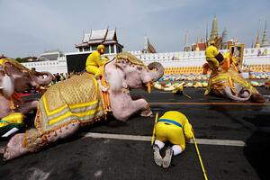 VIDEO Slonovi klečali u čast novokrunisanog kralja Tajlanda