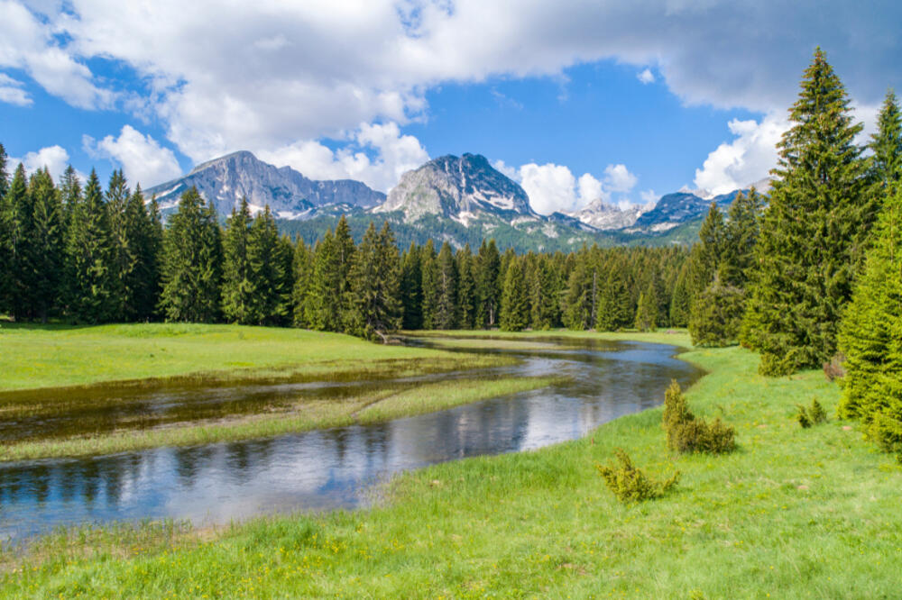 Žabljak (ilustracija), Foto: Shutterstock
