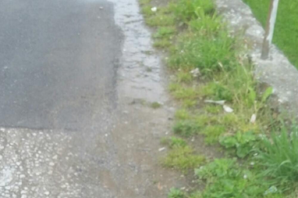 Prekjuče u Nedakusima, Foto: Jadranka Ćetković