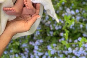 Raznježili cijeli svijet: Ovo je nova fotografija malog Arčija