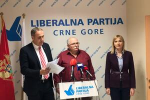 Popović: Opština Kotor ne funkcioniše, formirati novu većinu ili...