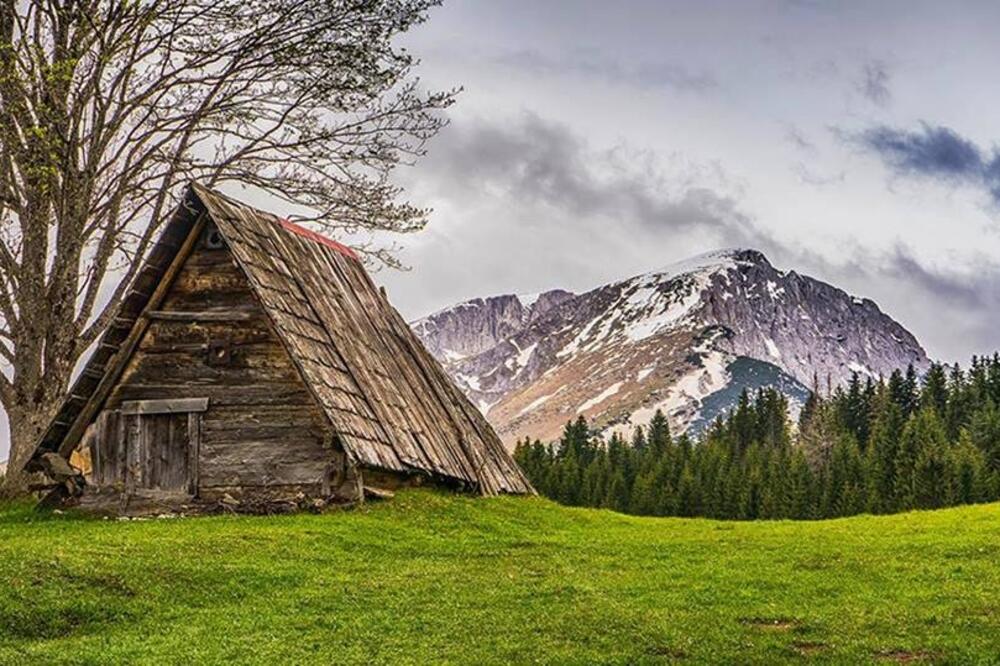 Pobjednička fotografija, Foto: Marko Nedović