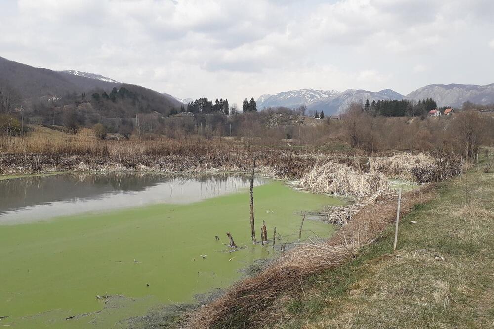 Fekalne lagune na 100 metara od korita Tare, Foto: Dragana Šćepanović