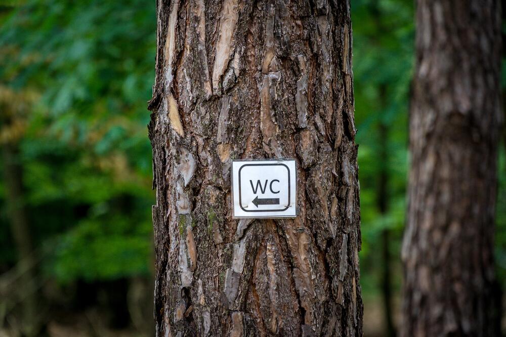 Ilustracija, Foto: Pixabay