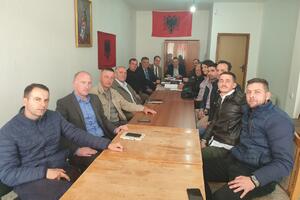 "Situacija oko predstavljanja Albanaca u organima državne i...