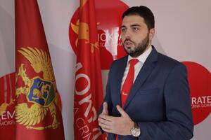 Martinović: Pažin opstruira borbu protiv organizovanog kriminala i...