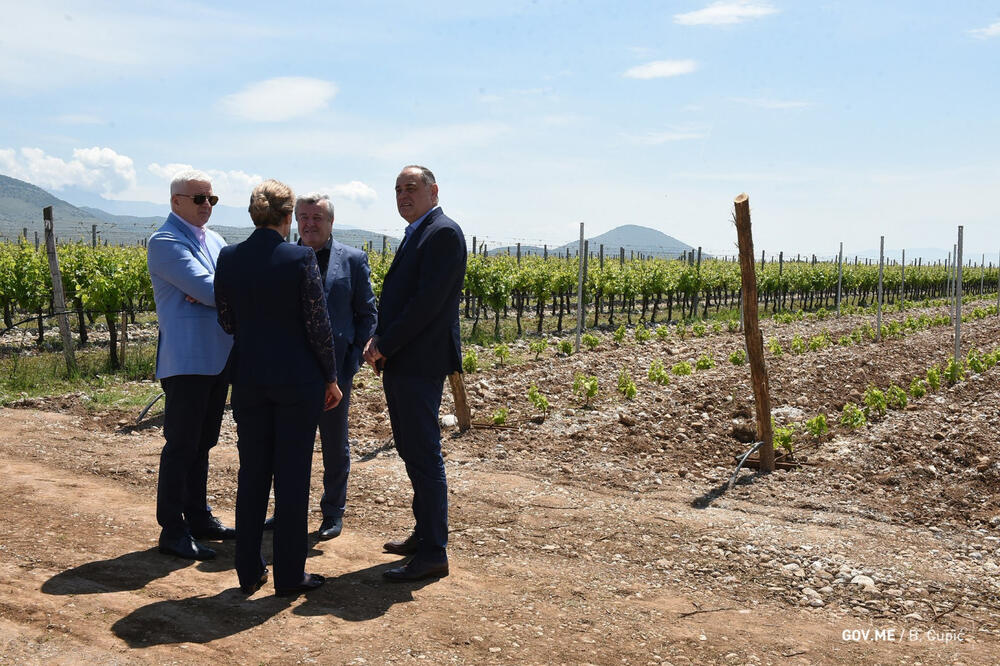 Marković u radnoj posjeti, Foto: Vlada Crne Gore