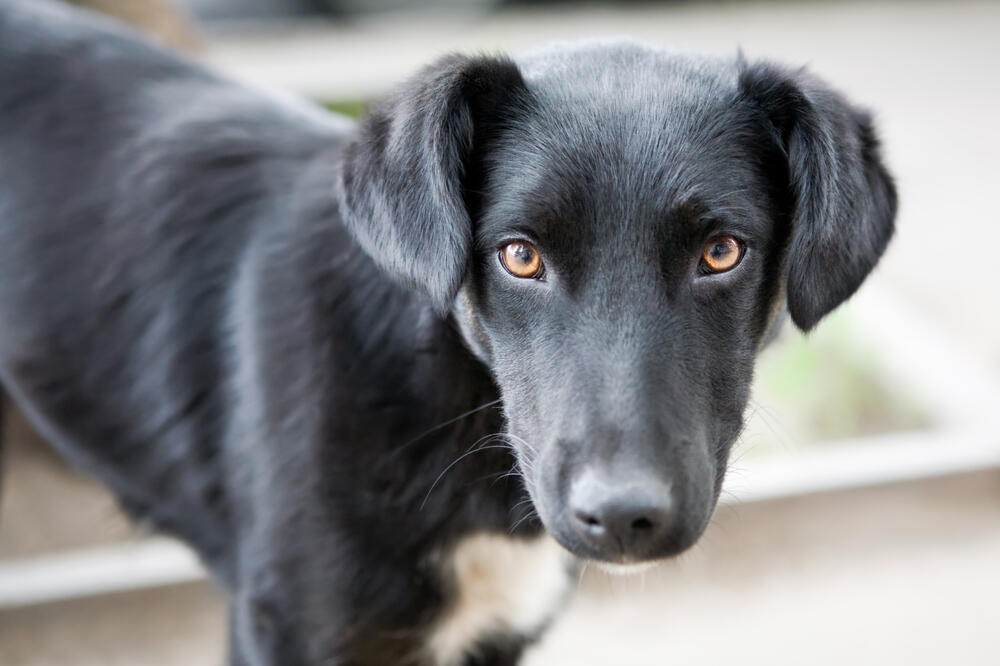 Ilustracija, Foto: Shutterstock