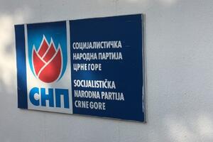 SNP: Đačić smijenjen jer je počeo da smeta, ostavka sa potpisom...