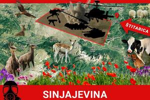 Let's save Sinjajevina: Citizens against the militarization of the mountain