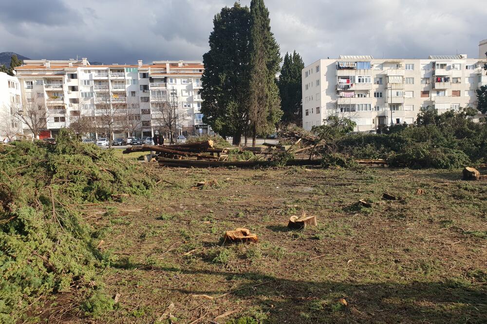 Dvorište će izgledati drugačije, Foto: Srdan Kosović